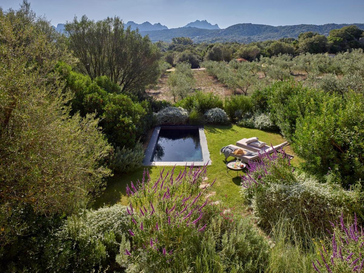 Cascioni Eco Retreat Hotel Арцахена Екстериор снимка